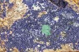 Azurite and Malachite Association on Matrix - Morocco #217777-1